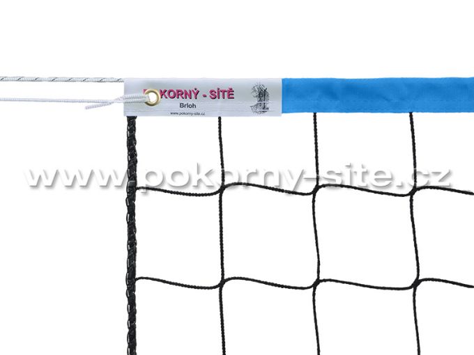 Bild von Volleyballnetz ÖKONOM blau