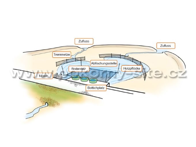 Bild von Bodennetz L - Masche 15 mm