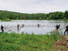 Bild von Bodennetz L - Masche 20 mm 