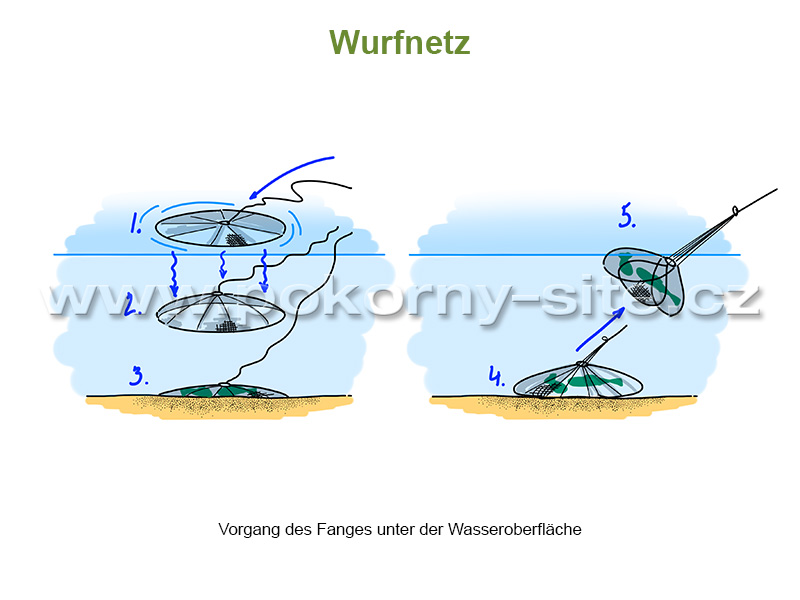 Wurfnetz 6 m Umfang, im Fang 20 mm / im Leib 30 mm Maschenweite