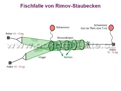 Bild von Fischfalle von Rimov-Staubecken, Ring 0,4 m