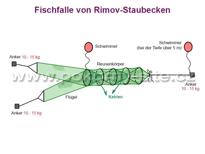 Bild von Fischfalle von Rimov-Staubecken, Ring 0,7 m