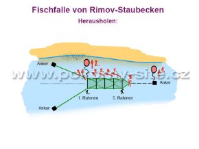 Bild von Fischfalle von Rimov-Staubecken, Quadrat 0,4 x 0,4 m